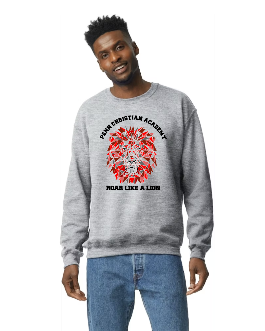 PCA Geometric Lion Design