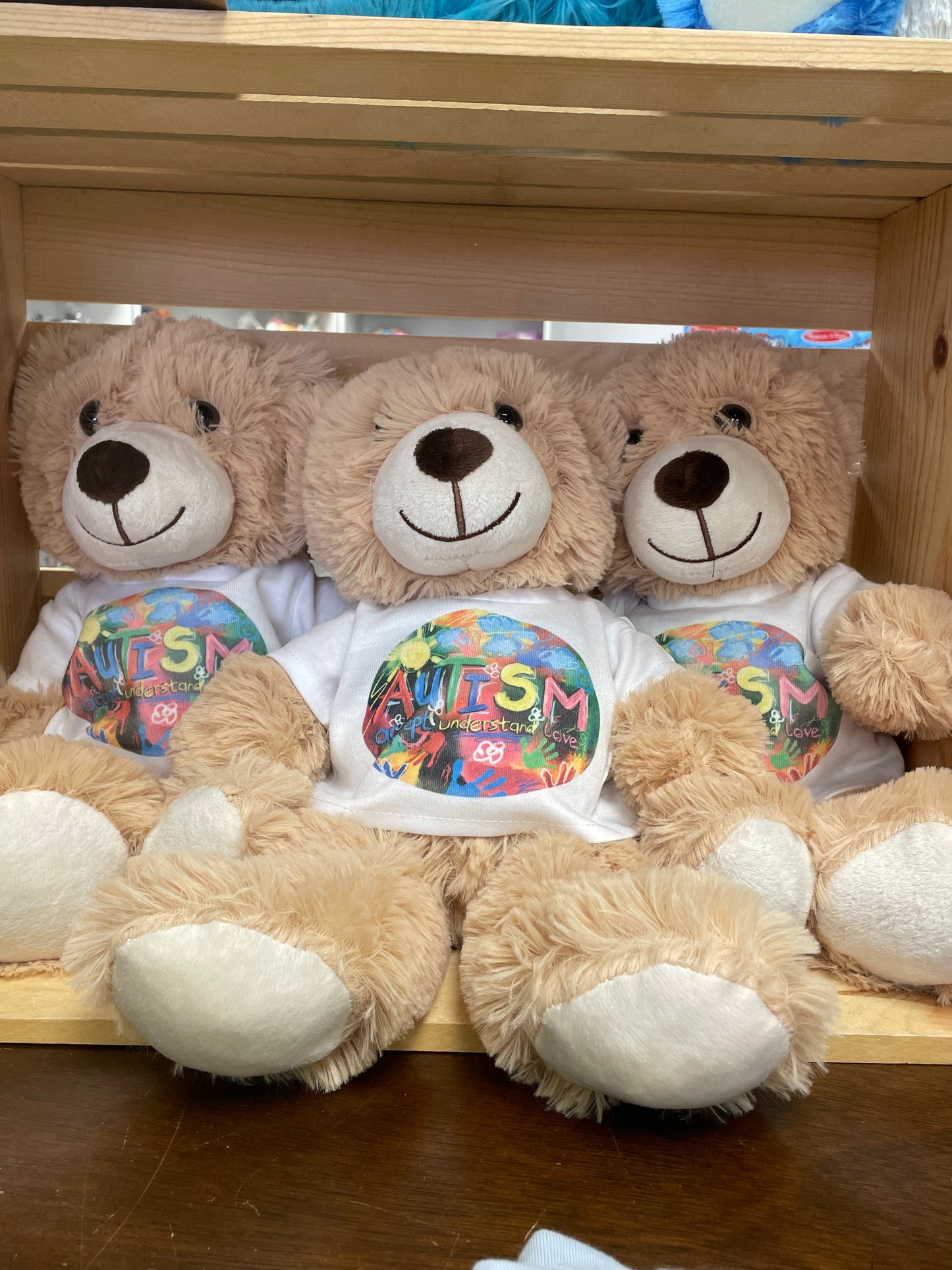 Autism Awareness Bear