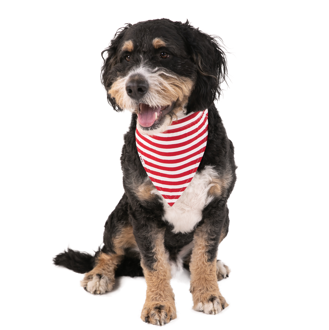 Candy Cane Dog Bandana