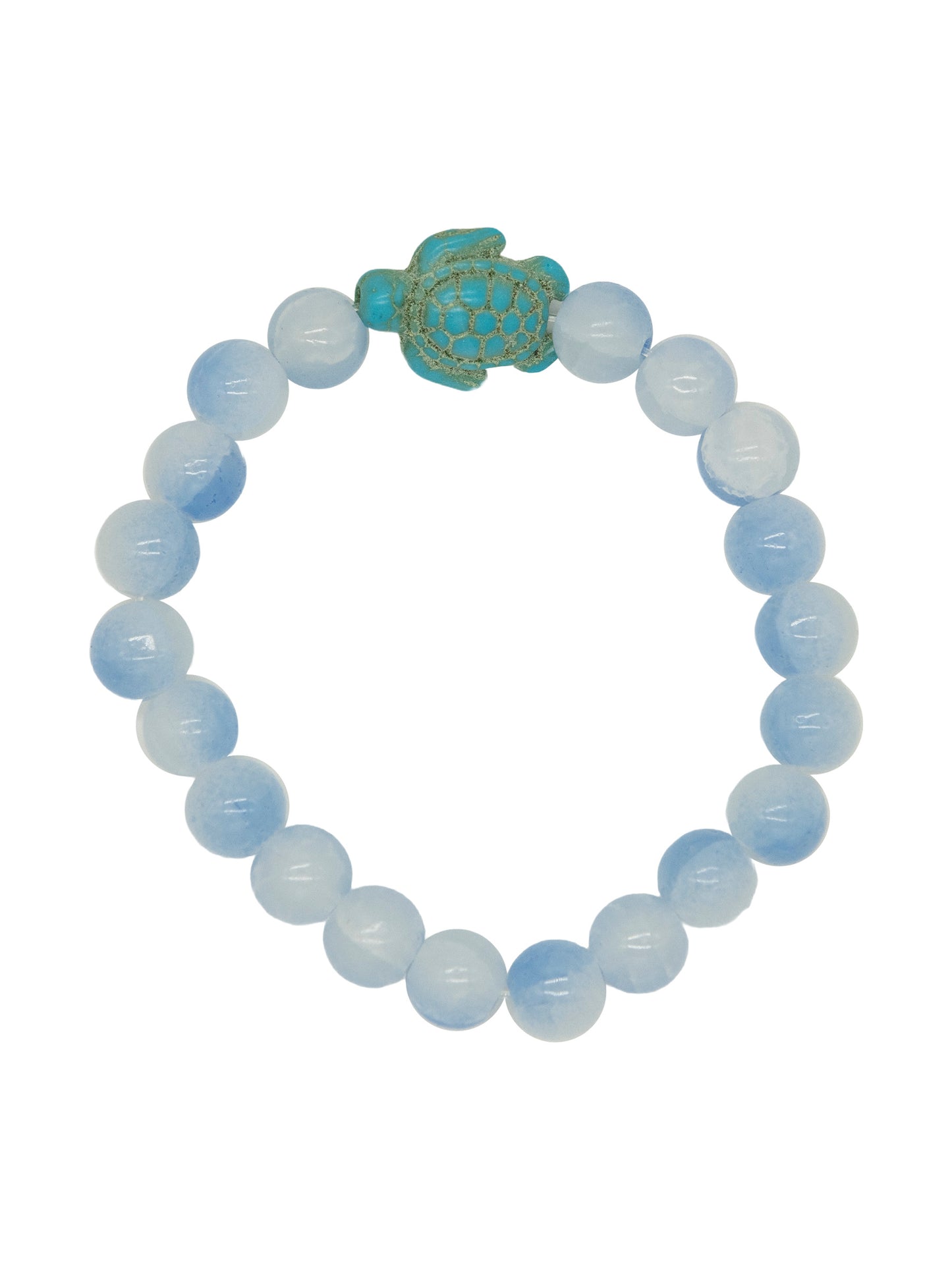 0225-JWL-TRACKBRAC-TRTL