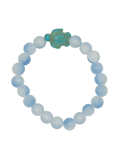 0225-JWL-TRACKBRAC-TRTL