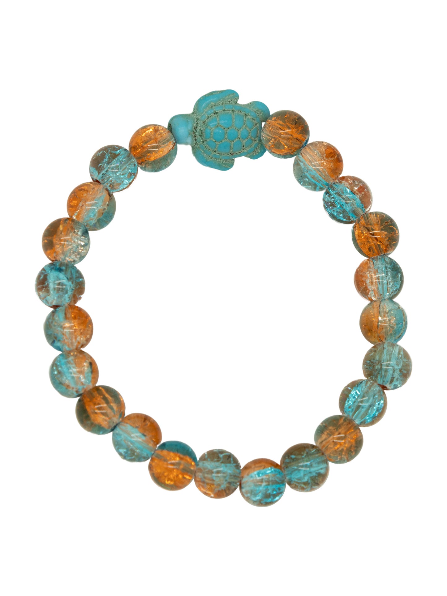 0225-JWL-TRACKBRAC-TRTL