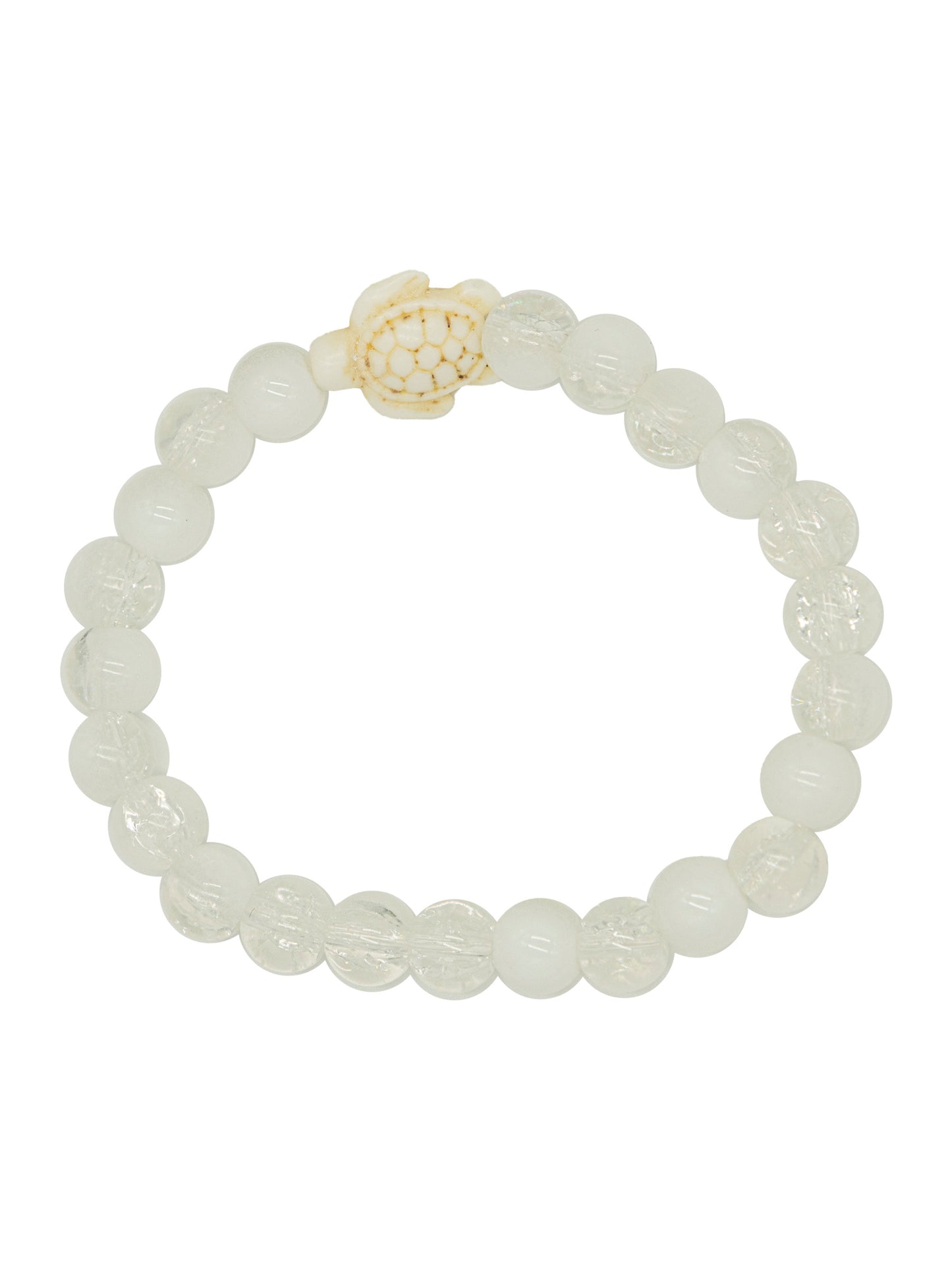 0225-JWL-TRACKBRAC-TRTL