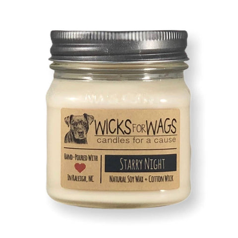 Starry Night / Soy Candle