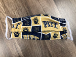 Adult Mask - Pitt