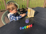 DIY Butterfly House Kit