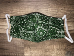 Green Paisley Mask
