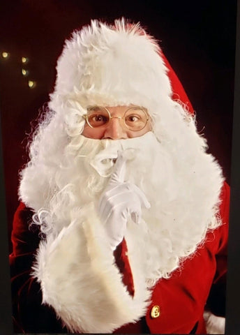 VIP Santa Experience